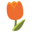🌷 🌷