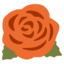 🌹 🌹