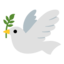 🕊 🕊