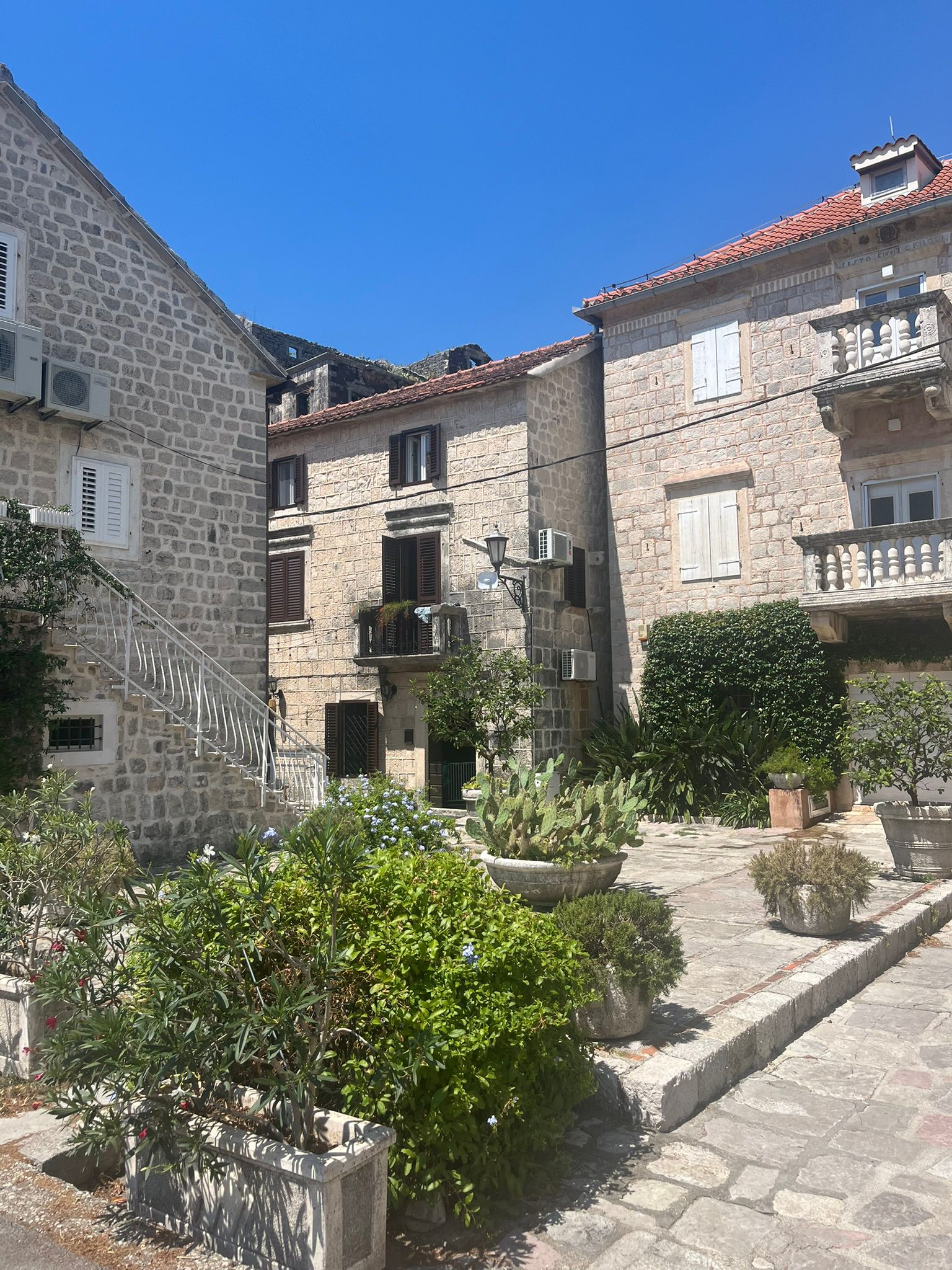 WhatsApp Image 2025-12-11 at 15.45.04.jpeg